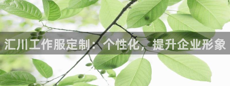 头号玩家龙8国际|汇川工作服定制：个性化，提升企业形象