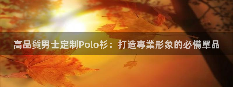 long8国际|高品質男士定制Polo衫：打造專業形象的必備單品