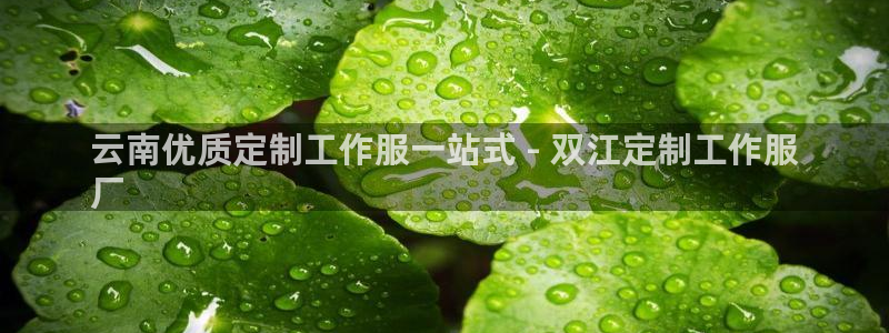 头号官网登录入口